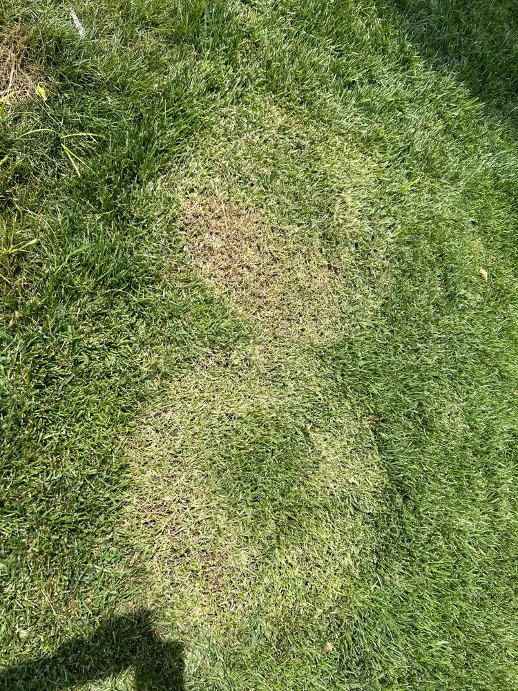 Expert landscaping services with custom design in Orrstown, PA by Timmons Supreme Service LLC