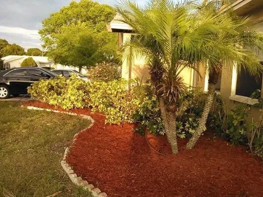 Timms Lawns and Landscaping