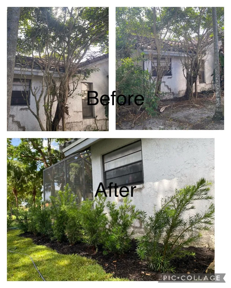 Professional garden landscaping experts serving Tamarac, FL - Timmy D’s Lawn and Landscaping