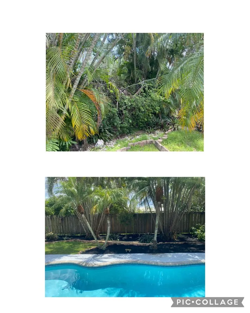 Reliable yard cleanup service for residential properties in Tamarac, FL by Timmy D’s Lawn and Landscaping