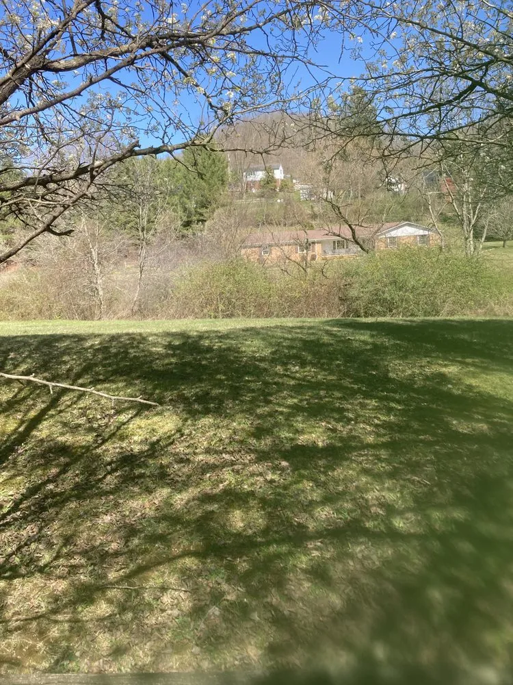Expert yard cleanup service for outdoor upgrades across Bluefield, WV - Timmys Enterprise
