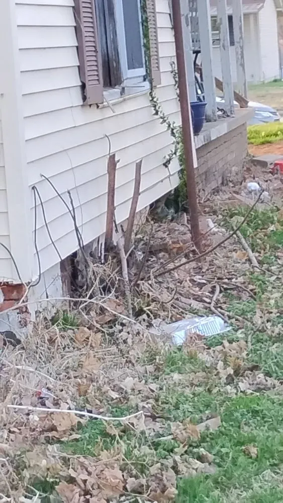 Trusted yard maintenance in Mount Carmel, IL by Timmy's Lawn Care