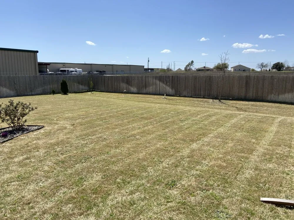 Top-rated landscape design for outdoor upgrades in Smithville, TX by Timmy’s Lawn Care