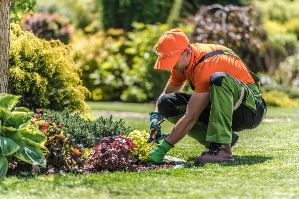 Expert yard cleanup service for residential properties across Timonium, MD - Timonium Landscaping