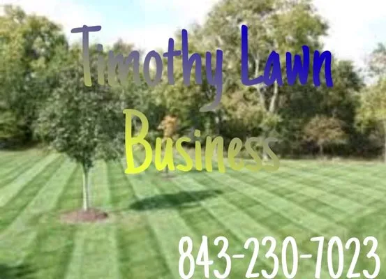 Timothy Lawn Logo