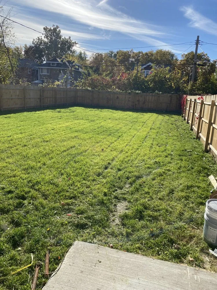 Custom yard maintenance in Detroit, MI - Timothy The Painter