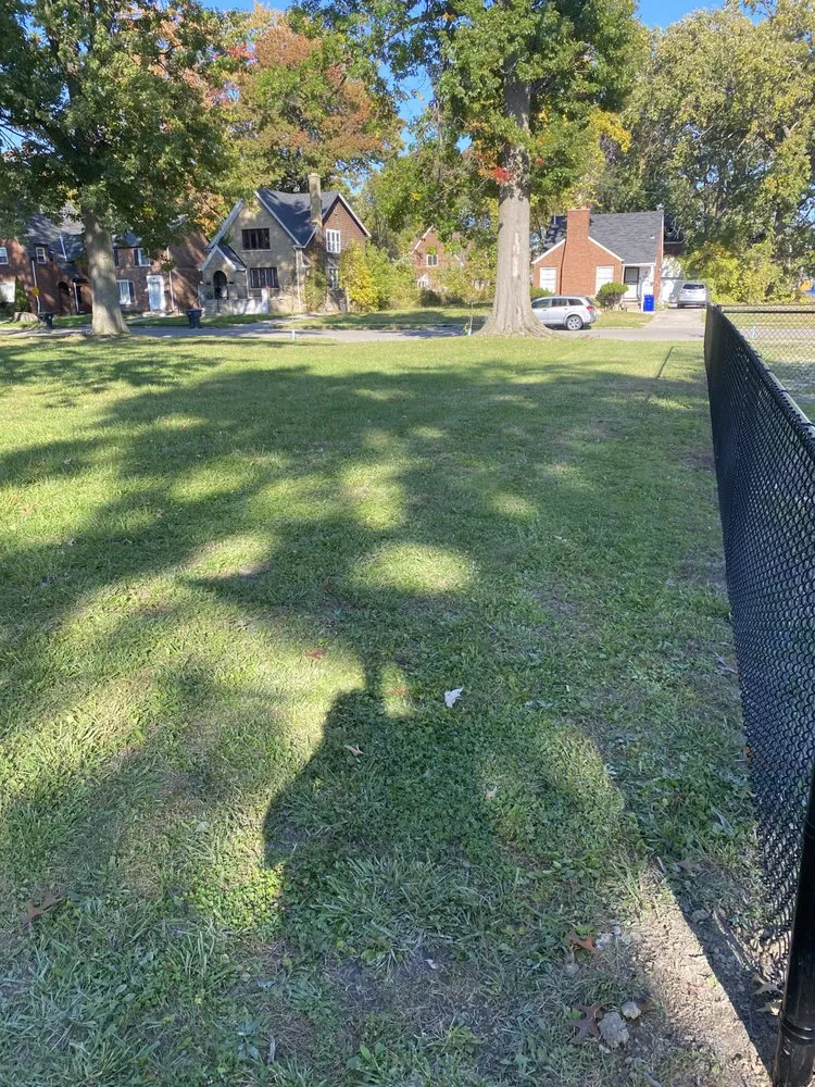 Top-rated residential landscaping in Detroit, MI - Timothy The Painter