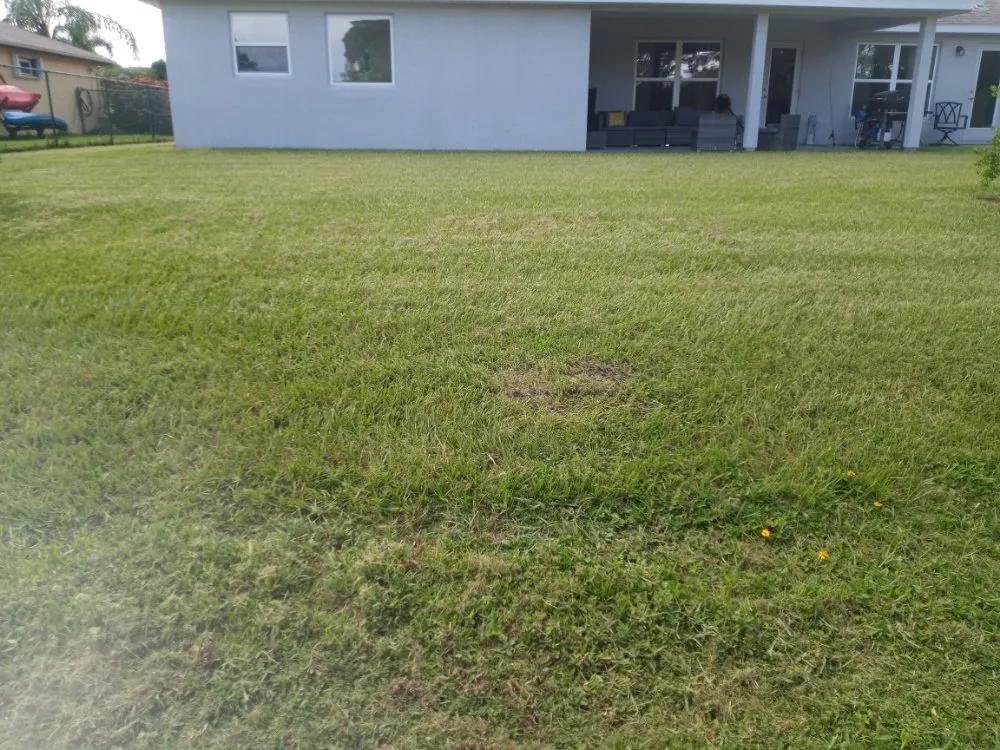 Custom outdoor landscaping for beautiful yards across Fort Pierce, FL - Timothy's Land Services