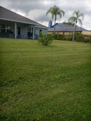 Timothy's Land Services Logo