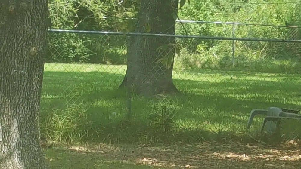 Trusted lawn care service for beautiful yards in Beaumont, TX by Timothy's Lawn Service