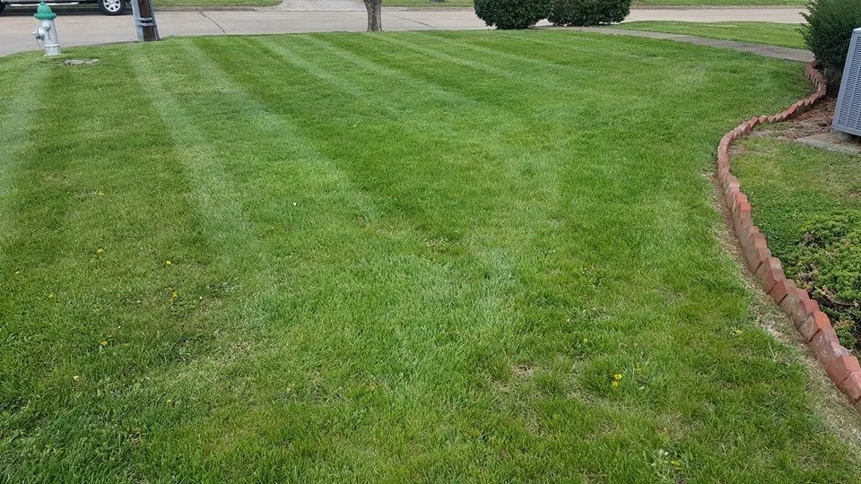Affordable lawn care service in Kingsport, TN by Tim's Affordable Lawncare