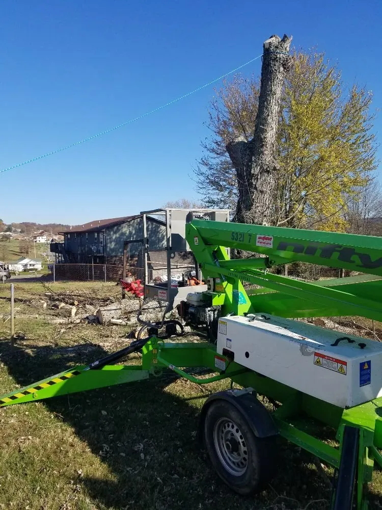 Reliable lawn mowing service with custom design across Kingsport, TN - Tim's Affordable Lawncare