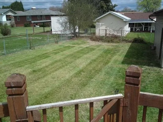 Tim's Affordable Lawncare