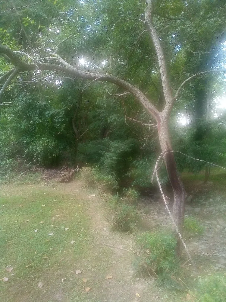 Trusted landscape design for year-round maintenance in New Albany, IN by Tim's Basic Auto Repair,landscaping,light Construction, Lawn Car