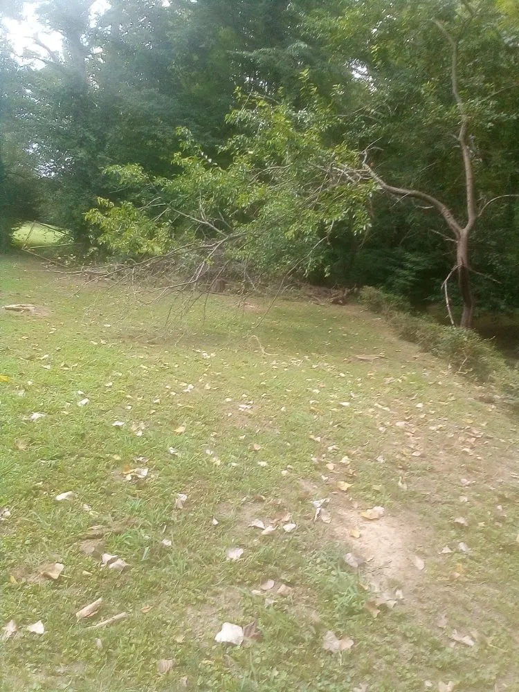 Top-rated outdoor landscaping near you across New Albany, IN - Tim's Basic Auto Repair,landscaping,light Construction, Lawn Car