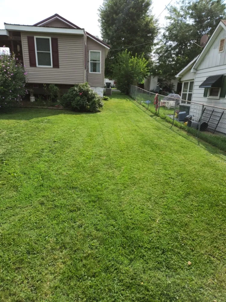 Expert outdoor landscaping for year-round maintenance in New Albany, IN by Tim's Basic Auto Repair,landscaping,light Construction, Lawn Car