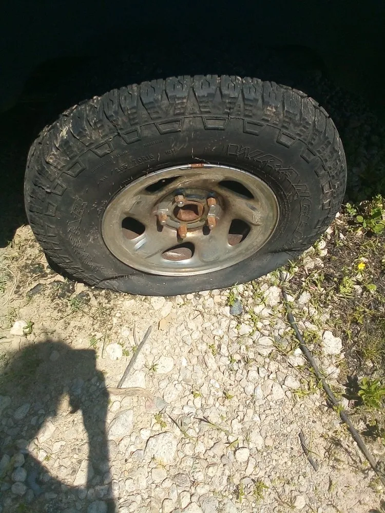 Expert yard maintenance experts serving New Albany, IN - Tim's Basic Auto Repair,landscaping,light Construction, Lawn Car