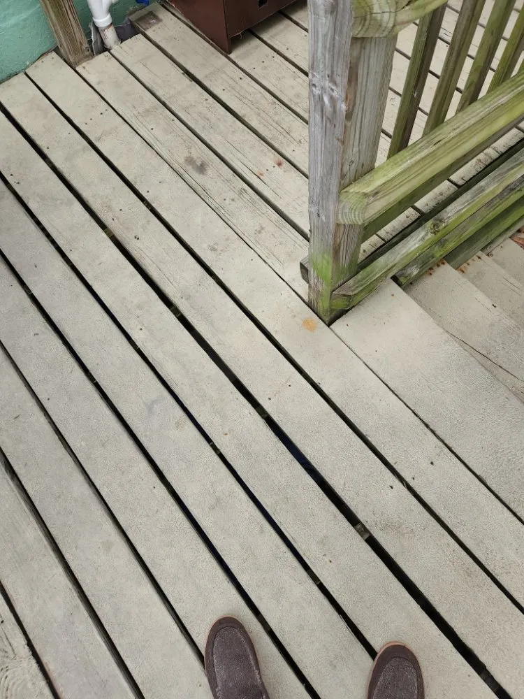 Professional yard cleanup service experts serving New Albany, IN - Tim's Basic Auto Repair,landscaping,light Construction, Lawn Car