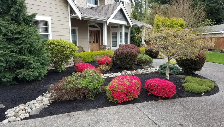 Reliable landscaping services experts serving Auburn, WA - Tim’s Complete Landscape Management