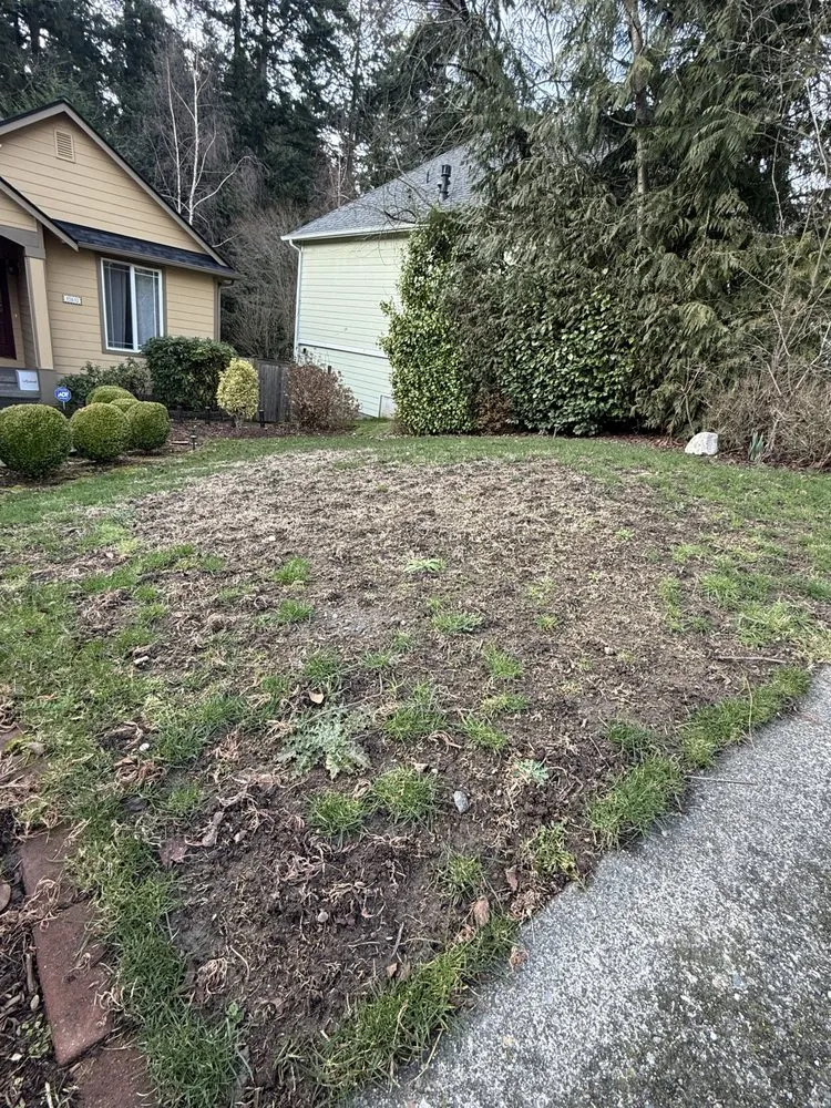 Reliable yard cleanup service in Auburn, WA by Tim’s Complete Landscape Management