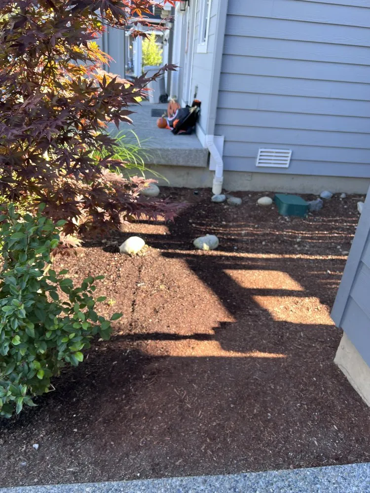 Affordable outdoor landscaping in Auburn, WA - Tim’s Complete Landscape Management