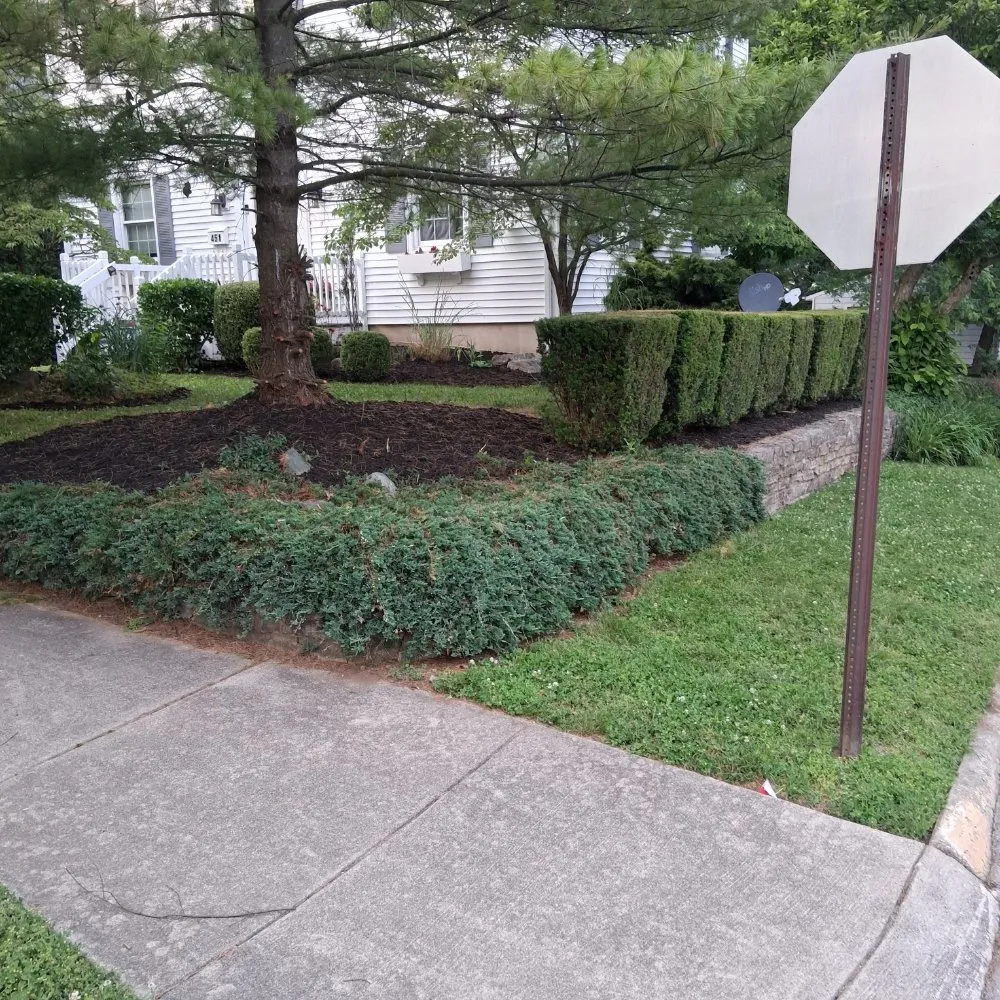 Top-rated lawn mowing service for outdoor upgrades in Richmond, IN by Tim's Complete Lawncare And Landscaping