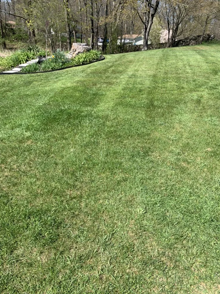 Local residential landscaping in Port Jervis, NY by Tim's Grass Cutting Service