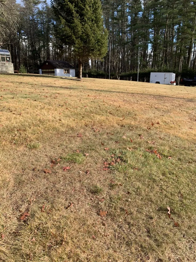 Local lawn care service in Port Jervis, NY by Tim's Grass Cutting Service