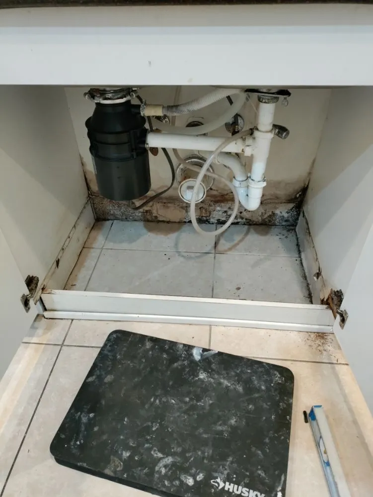 Professional lawn mowing service for beautiful yards in Melbourne, FL by Tim's Handyman And Outdoor Service