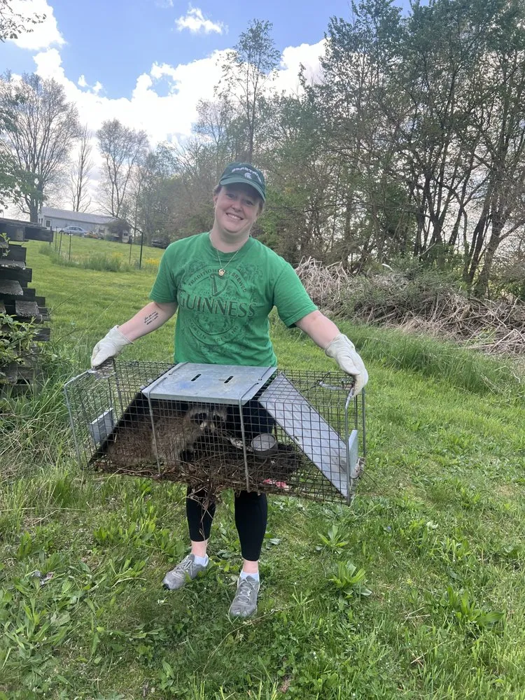 Trusted lawn mowing service in Berrien Springs, MI - Tim's Helping Hands