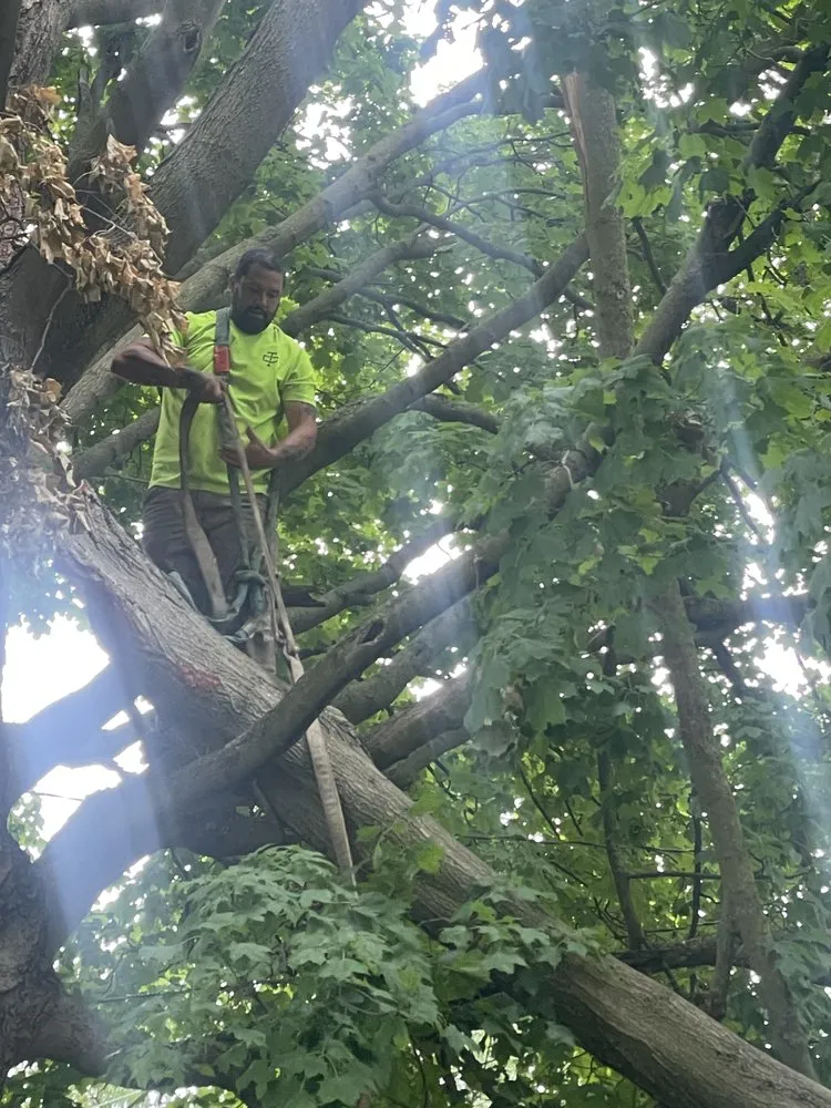 Affordable landscape installation near you across Berrien Springs, MI - Tim's Helping Hands