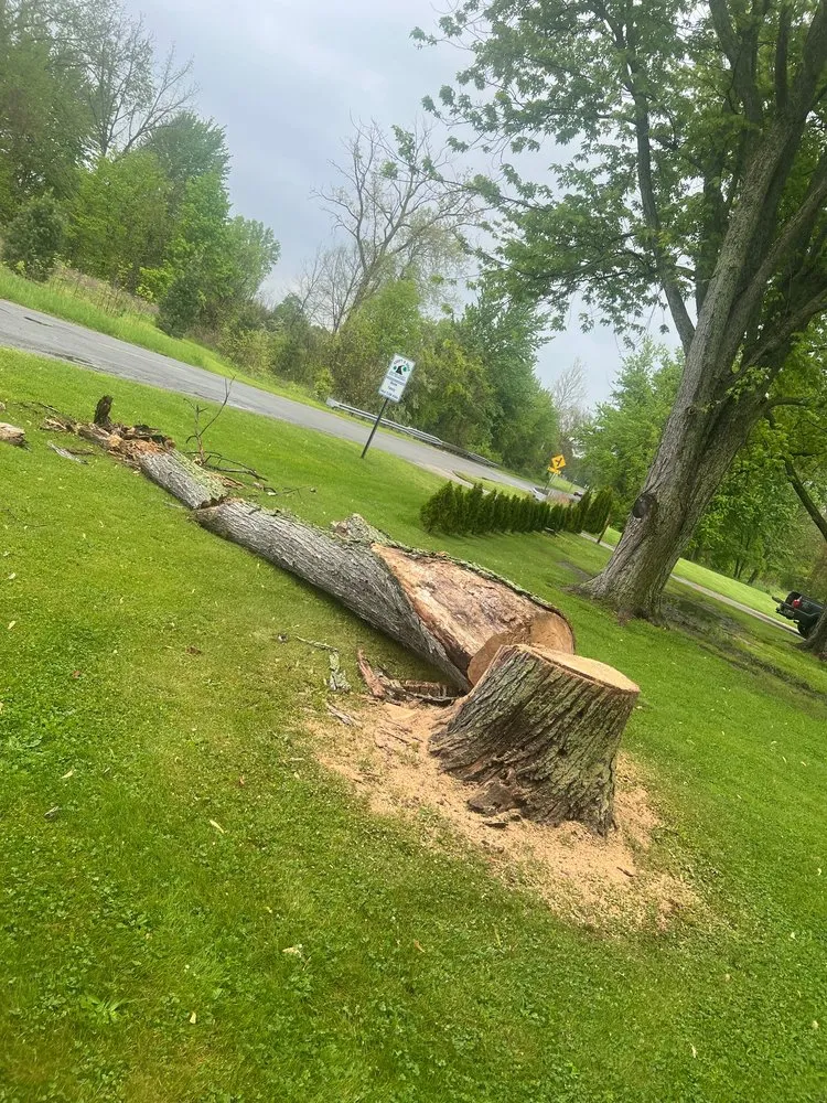 Expert residential landscaping for outdoor upgrades across Berrien Springs, MI - Tim's Helping Hands