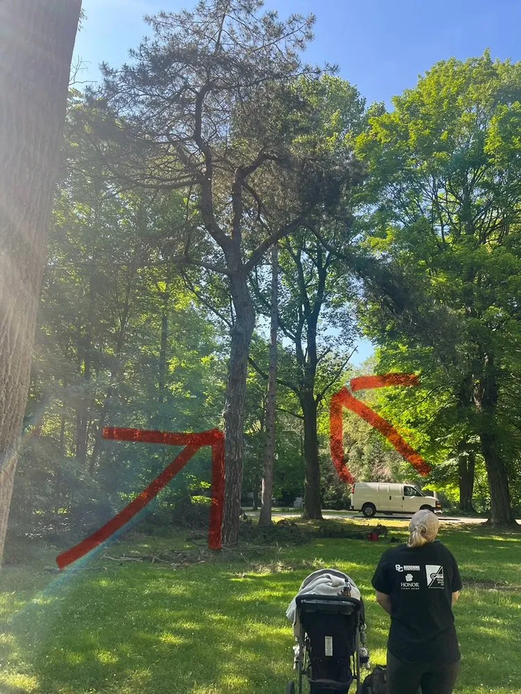 Expert residential landscaping for outdoor upgrades in Berrien Springs, MI by Tim's Helping Hands