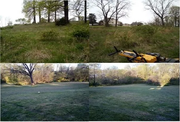 Professional outdoor landscaping near you in Walkersville, MD by Tim's home care service