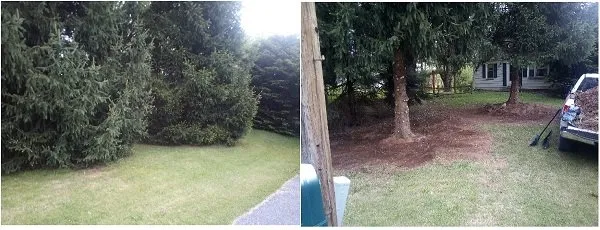 Expert landscape installation for beautiful yards across Walkersville, MD - Tim's home care service