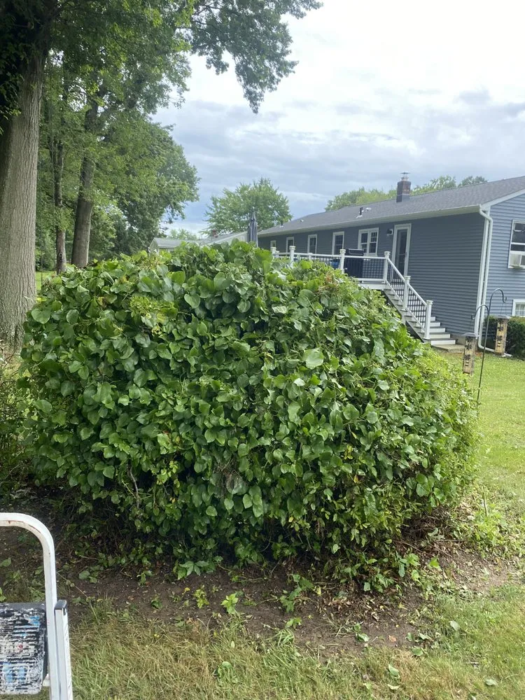 Affordable landscape installation for year-round maintenance across Milford, CT - Tim’s In And Out Lawn Service And Junk Removal