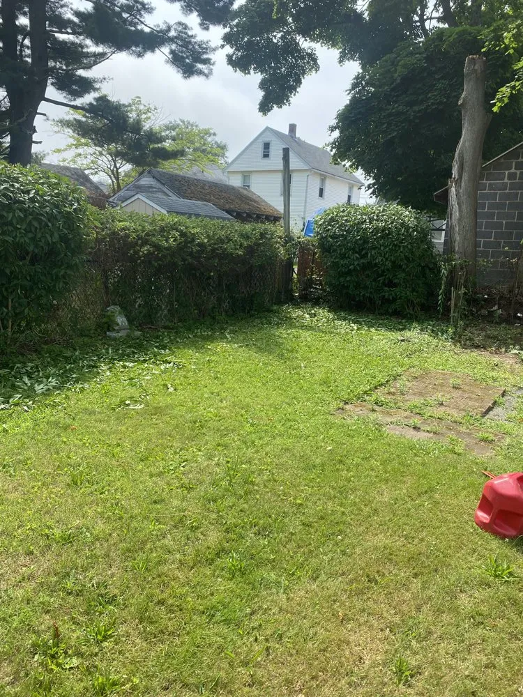 Affordable yard cleanup service experts serving Milford, CT - Tim’s In And Out Lawn Service And Junk Removal