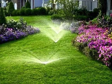 Local yard cleanup service in Tyler, TX by Tim's Irrigation & Landscape