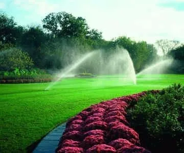 Local yard cleanup service in Tyler, TX - Tim's Irrigation & Landscape