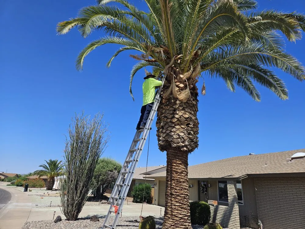 Local lawn care service with custom design across El Mirage, AZ - Tim's Landscape Management