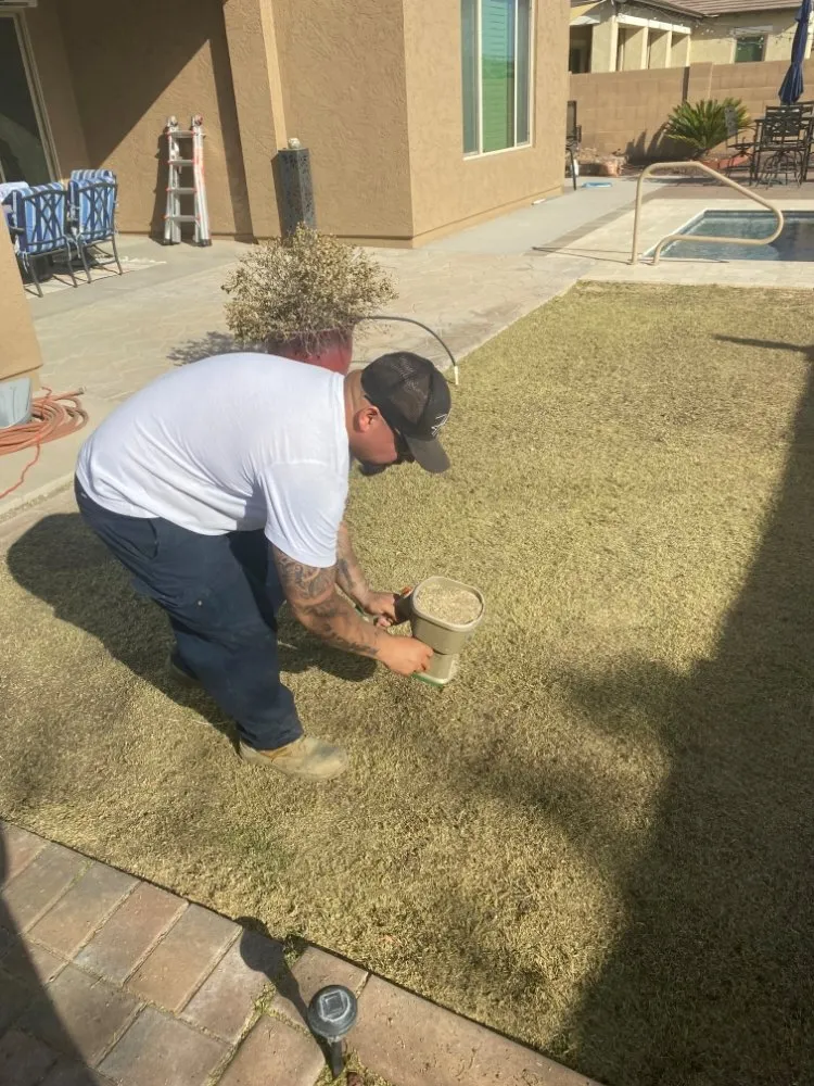 Local lawn mowing service for year-round maintenance across El Mirage, AZ - Tim's Landscape Management
