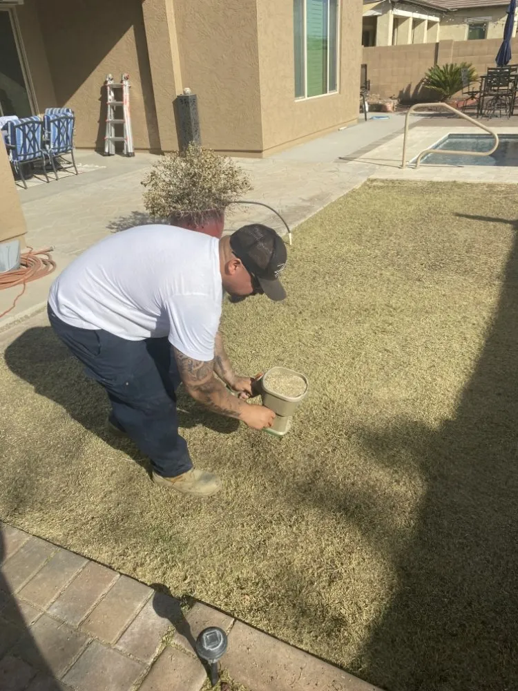Affordable yard maintenance in El Mirage, AZ - Tim's Landscape Management