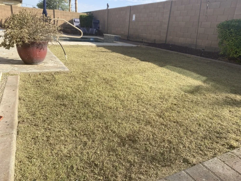Reliable lawn care service with custom design across El Mirage, AZ - Tim's Landscape Management