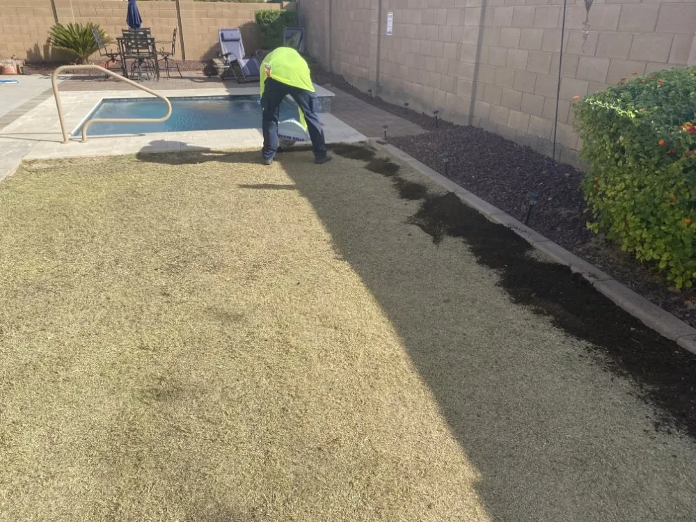 Top-rated yard maintenance in El Mirage, AZ - Tim's Landscape Management