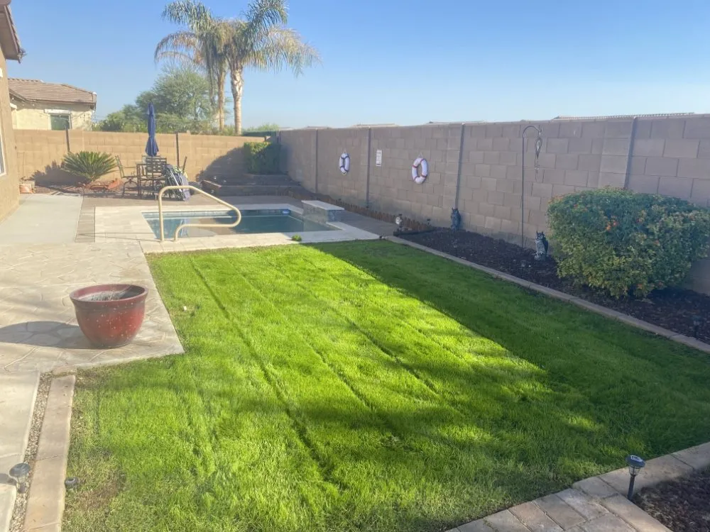 Expert residential landscaping for beautiful yards in El Mirage, AZ by Tim's Landscape Management