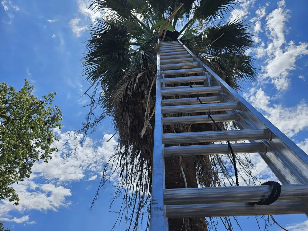 Reliable landscape installation experts serving El Mirage, AZ - Tim's Landscape Management