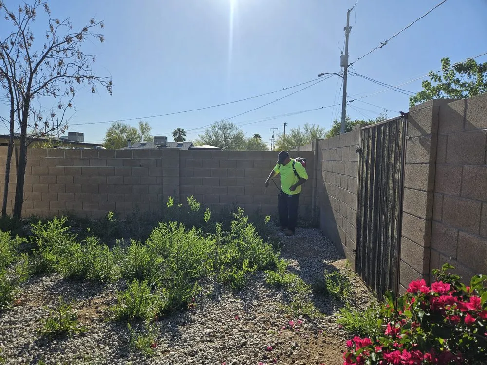 Local lawn care service in El Mirage, AZ by Tim's Landscape Management