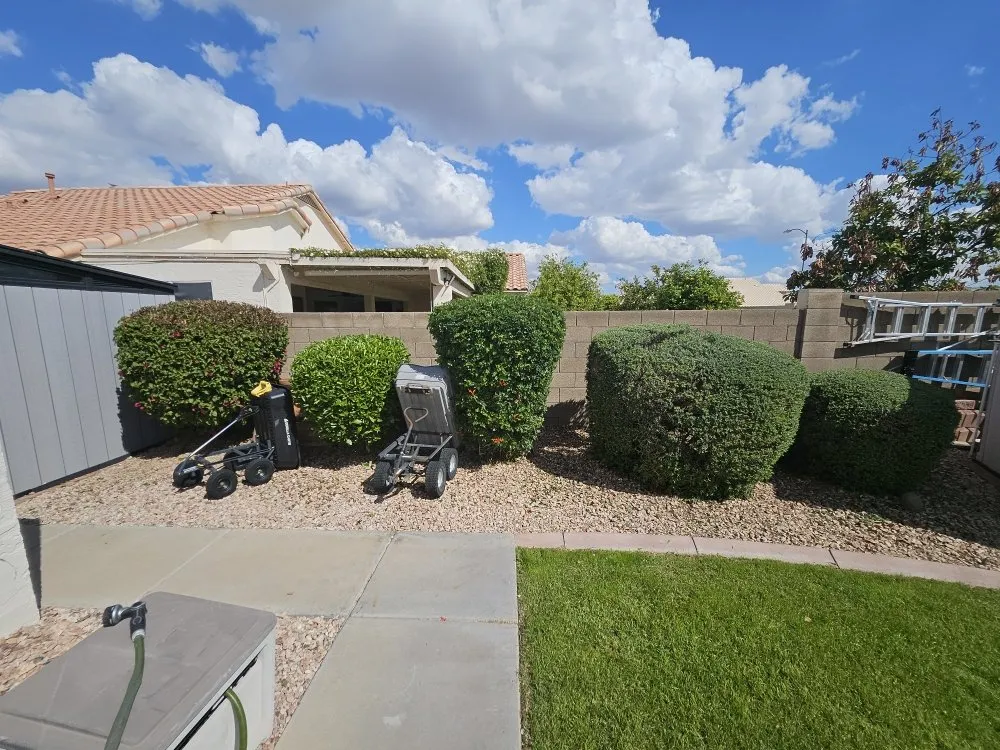 Trusted lawn mowing service experts serving El Mirage, AZ - Tim's Landscape Management