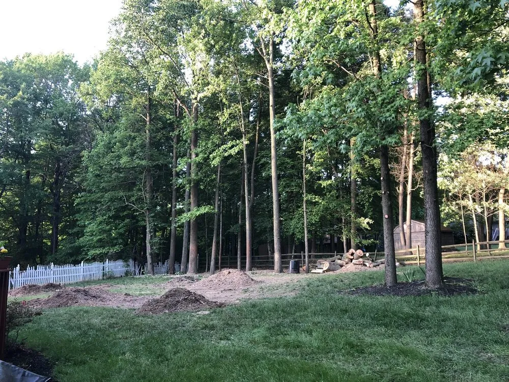 Affordable yard maintenance in Newark, DE - Tim's Landscaping and Tree Service