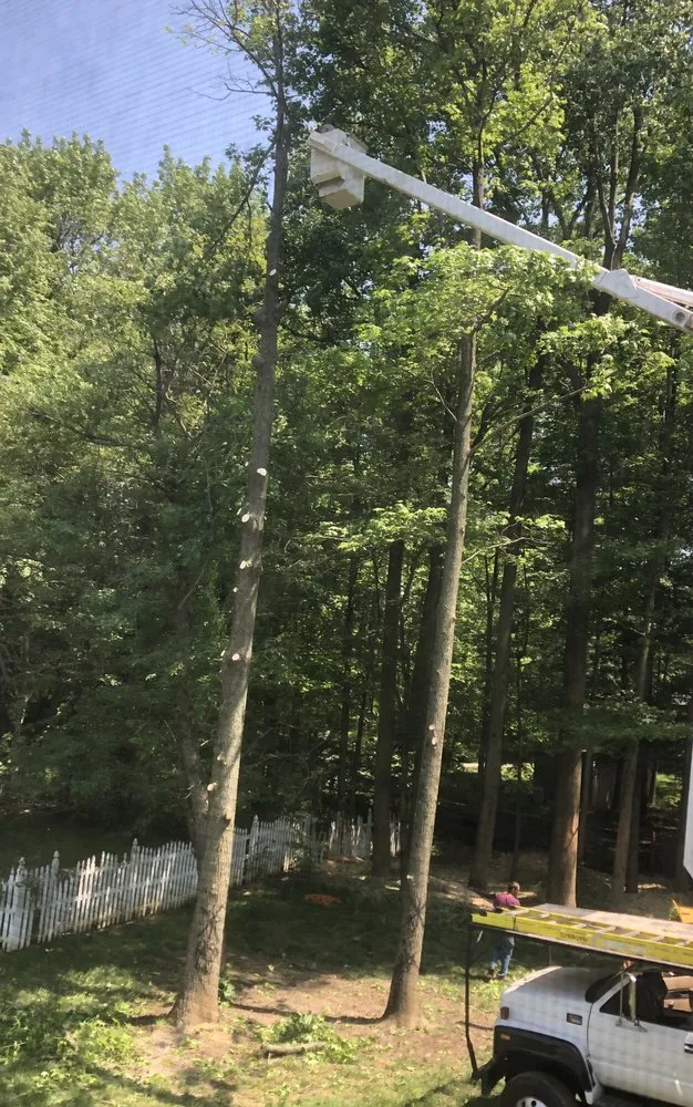 Custom lawn care service for year-round maintenance in Newark, DE by Tim's Landscaping and Tree Service